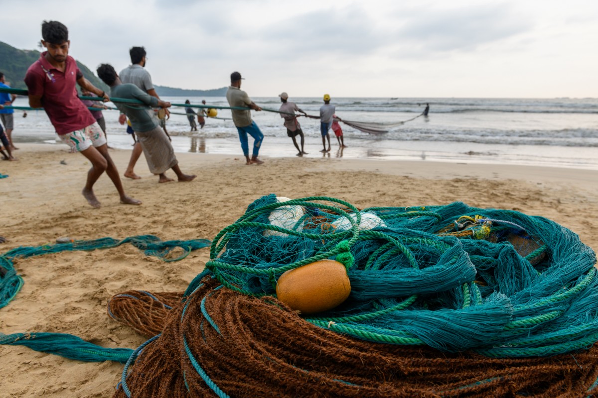 Fishermen hoisting a fishing net - Galle, Sri Lanka