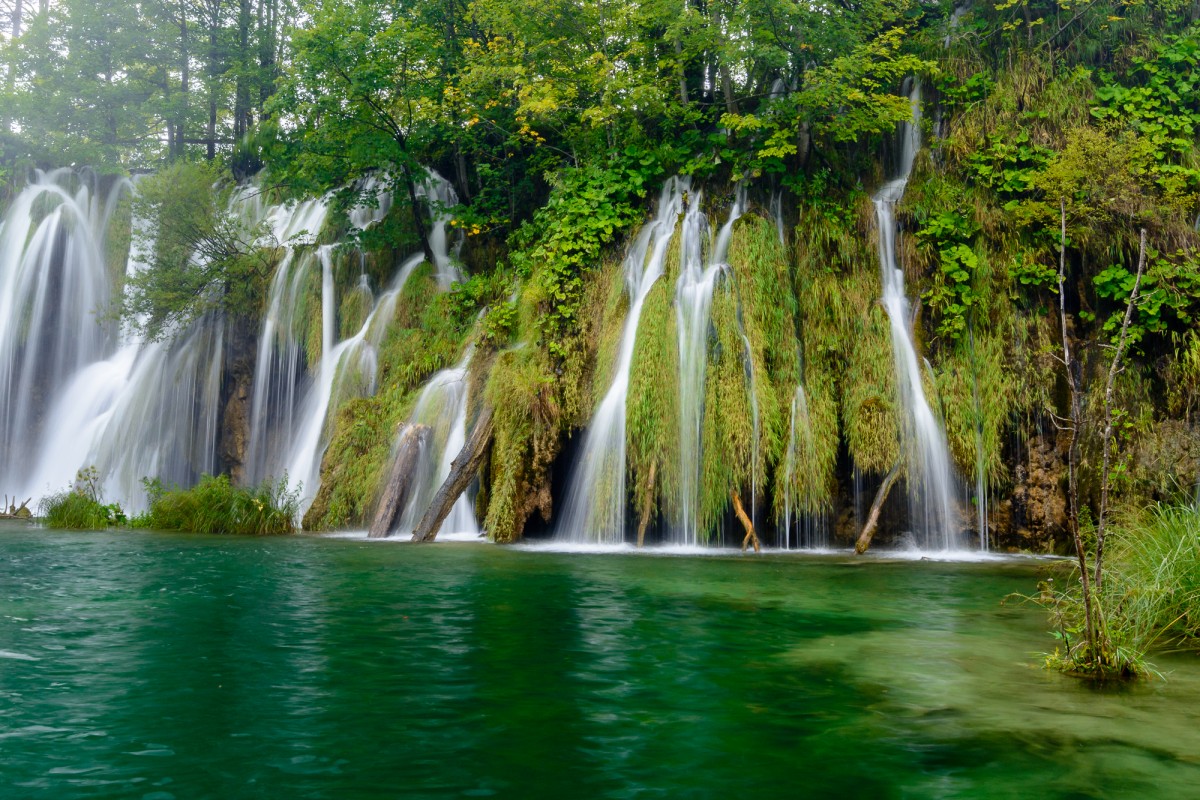 Water streaming through the forest ending in a lake - Plitvice NP, Croatia