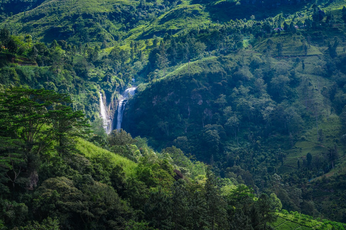 Green hills of Nuwara Eliya, Sri Lanka