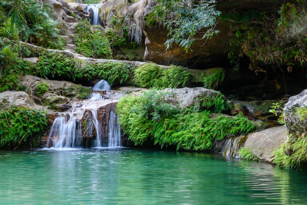 Green oasis in the middle of Isalo Np, Madagascar