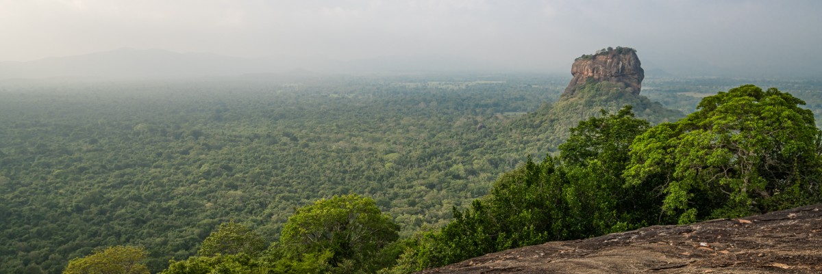 Lions rock view - Sigiriya, Sri Lanka