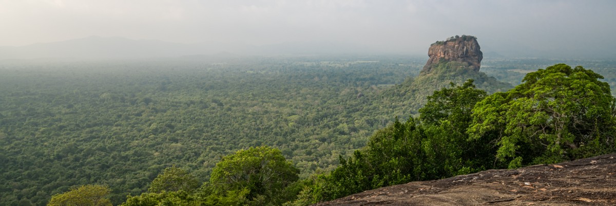 Lions rock view - Sigiriya, Sri Lanka