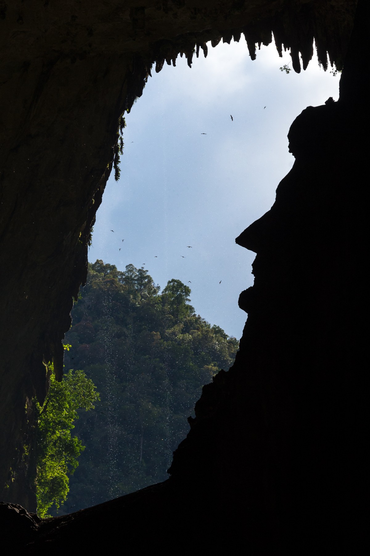 Face structure in a cave